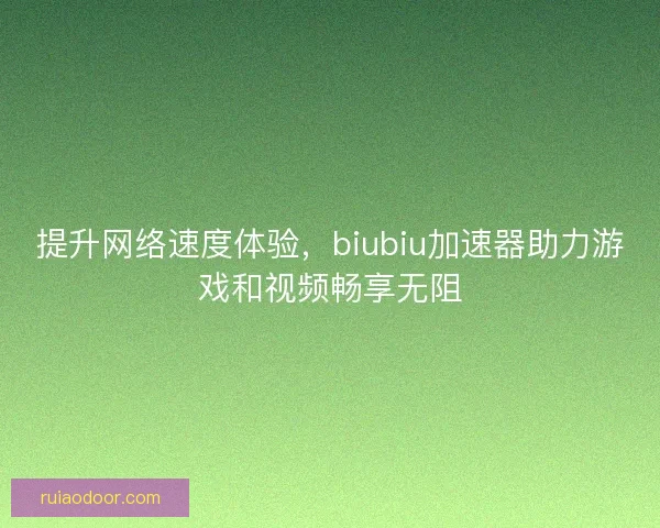 提升网络速度体验，biubiu加速器助力游戏和视频畅享无阻